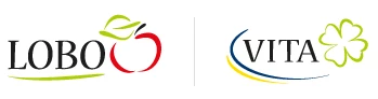 Vita_zk