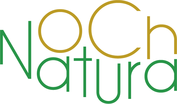 DOROTA KOŚCIUK JUST PR